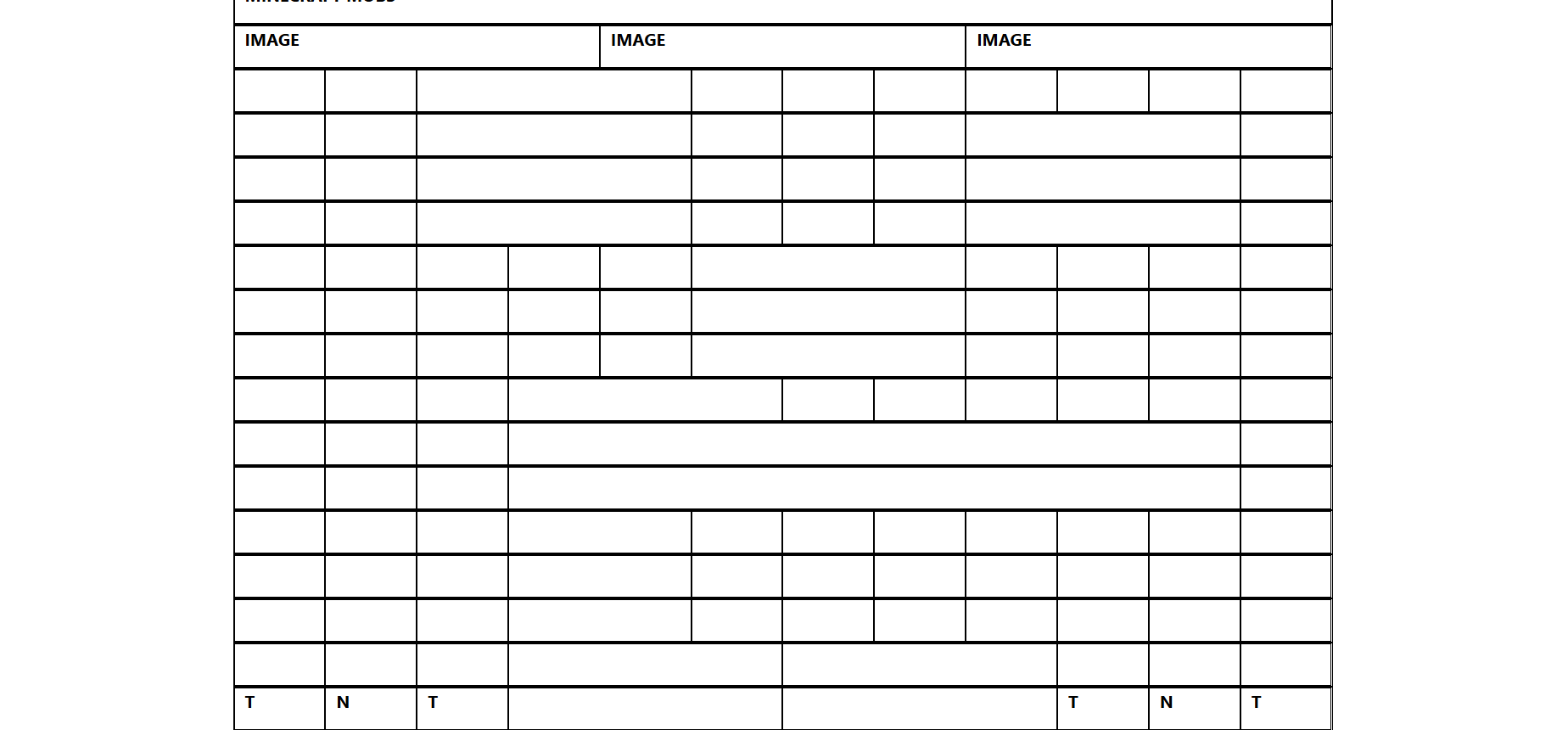  First Responsive Website Project