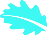 leaf-cyan-2